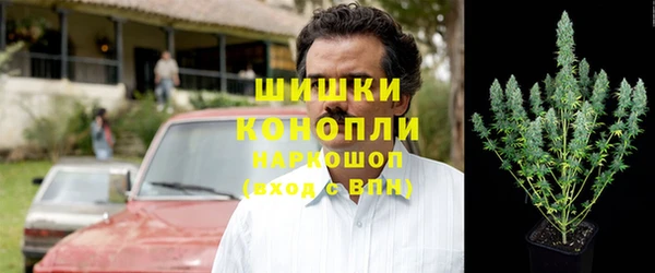 трава Магас
