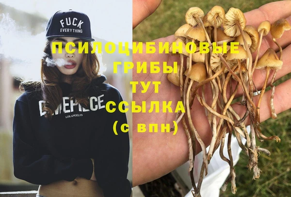 скорость Липки