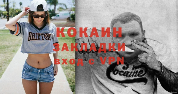 apvp Лиски
