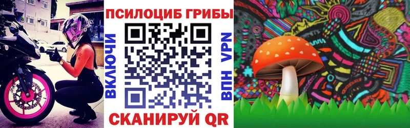 Галлюциногенные грибы GOLDEN TEACHER Щёлково